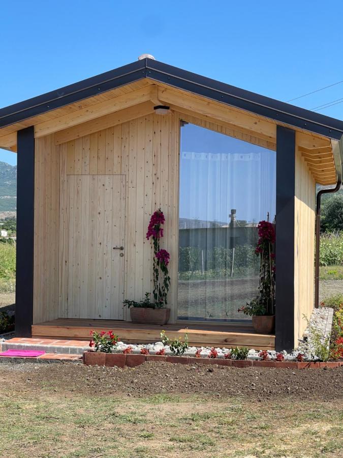 Fishta Guesthouse - Mrizi I Zanave Fishte Екстериор снимка