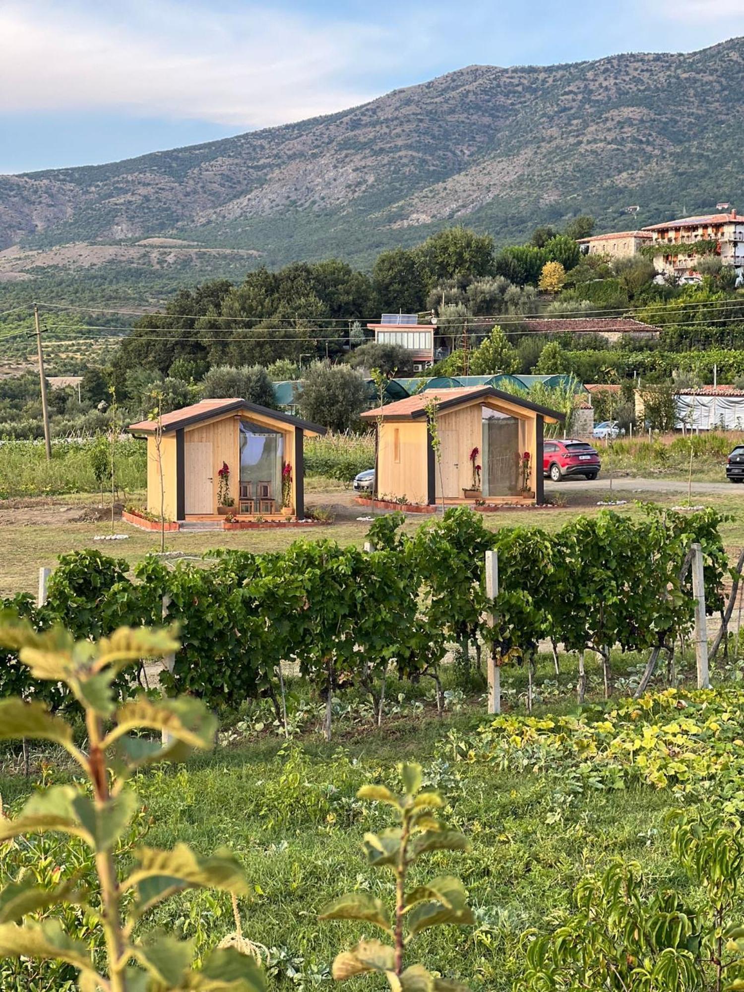 Fishta Guesthouse - Mrizi I Zanave Fishte Екстериор снимка