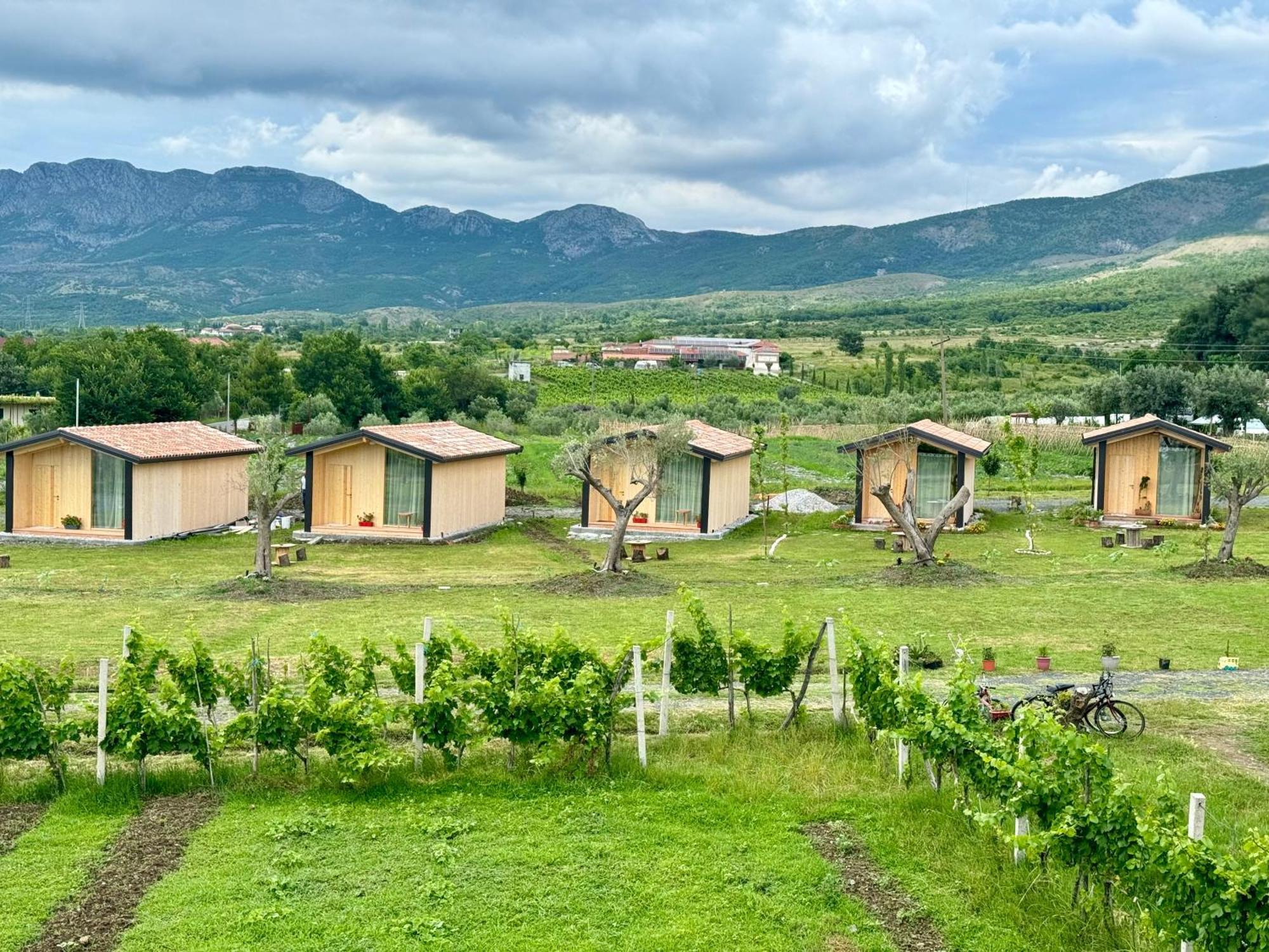 Fishta Guesthouse - Mrizi I Zanave Fishte Екстериор снимка