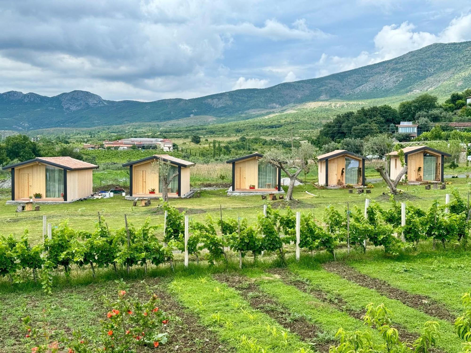 Fishta Guesthouse - Mrizi I Zanave Fishte Екстериор снимка