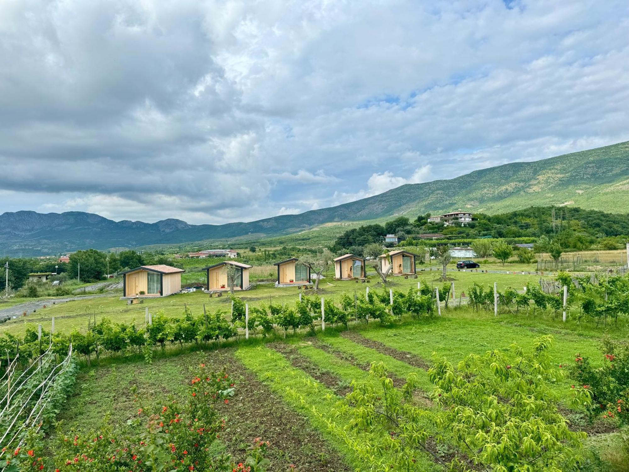 Fishta Guesthouse - Mrizi I Zanave Fishte Екстериор снимка