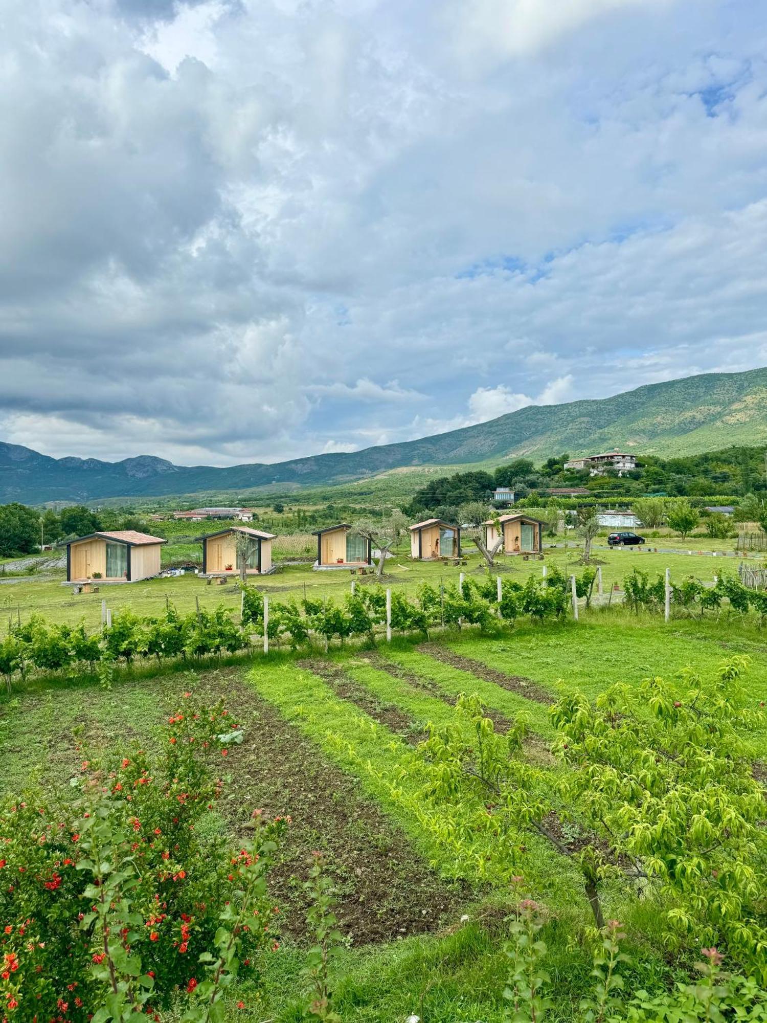 Fishta Guesthouse - Mrizi I Zanave Fishte Екстериор снимка