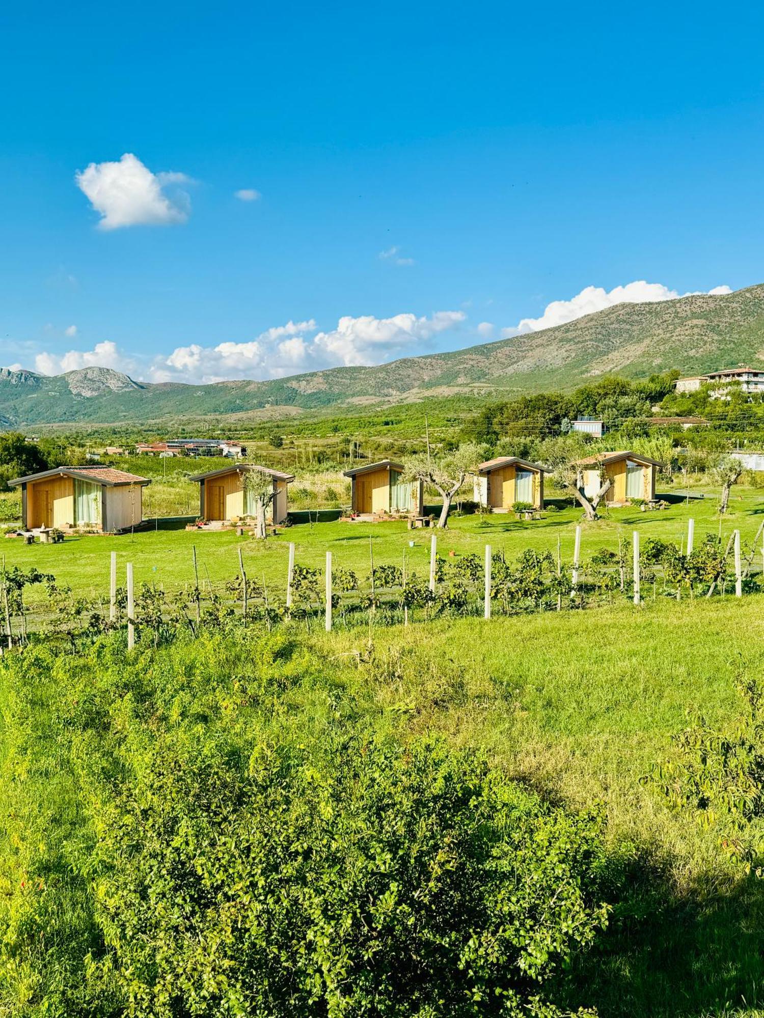 Fishta Guesthouse - Mrizi I Zanave Fishte Екстериор снимка