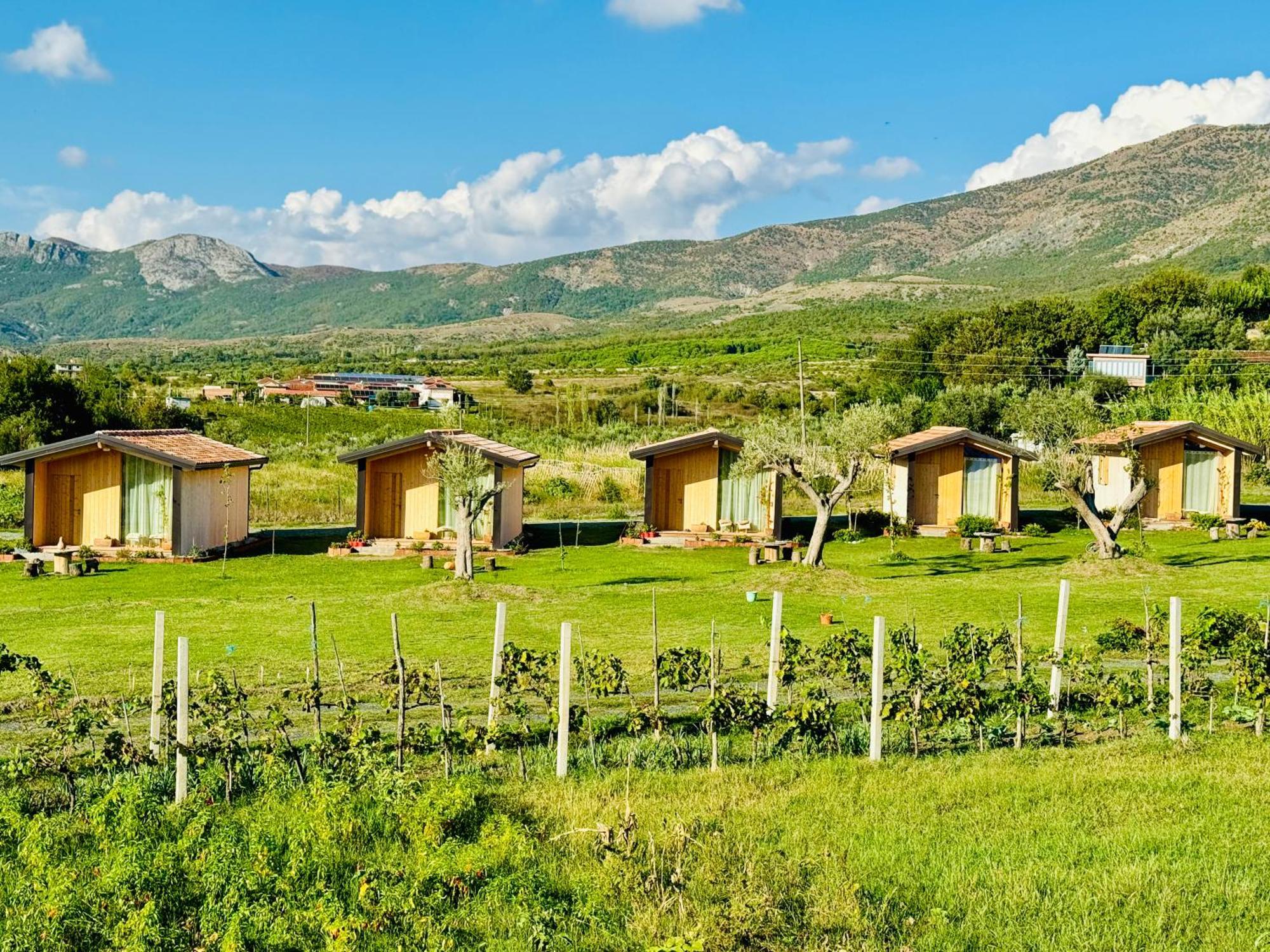 Fishta Guesthouse - Mrizi I Zanave Fishte Екстериор снимка
